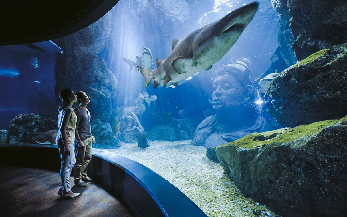 SEA LIFE Bangkok Ocean World